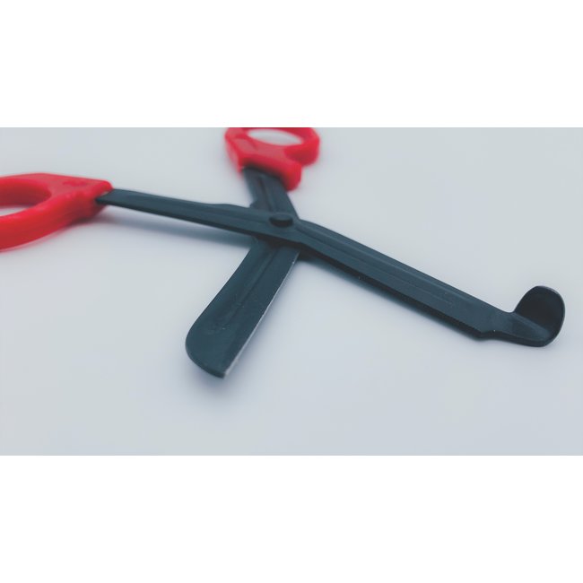 SHEARS 6.25"